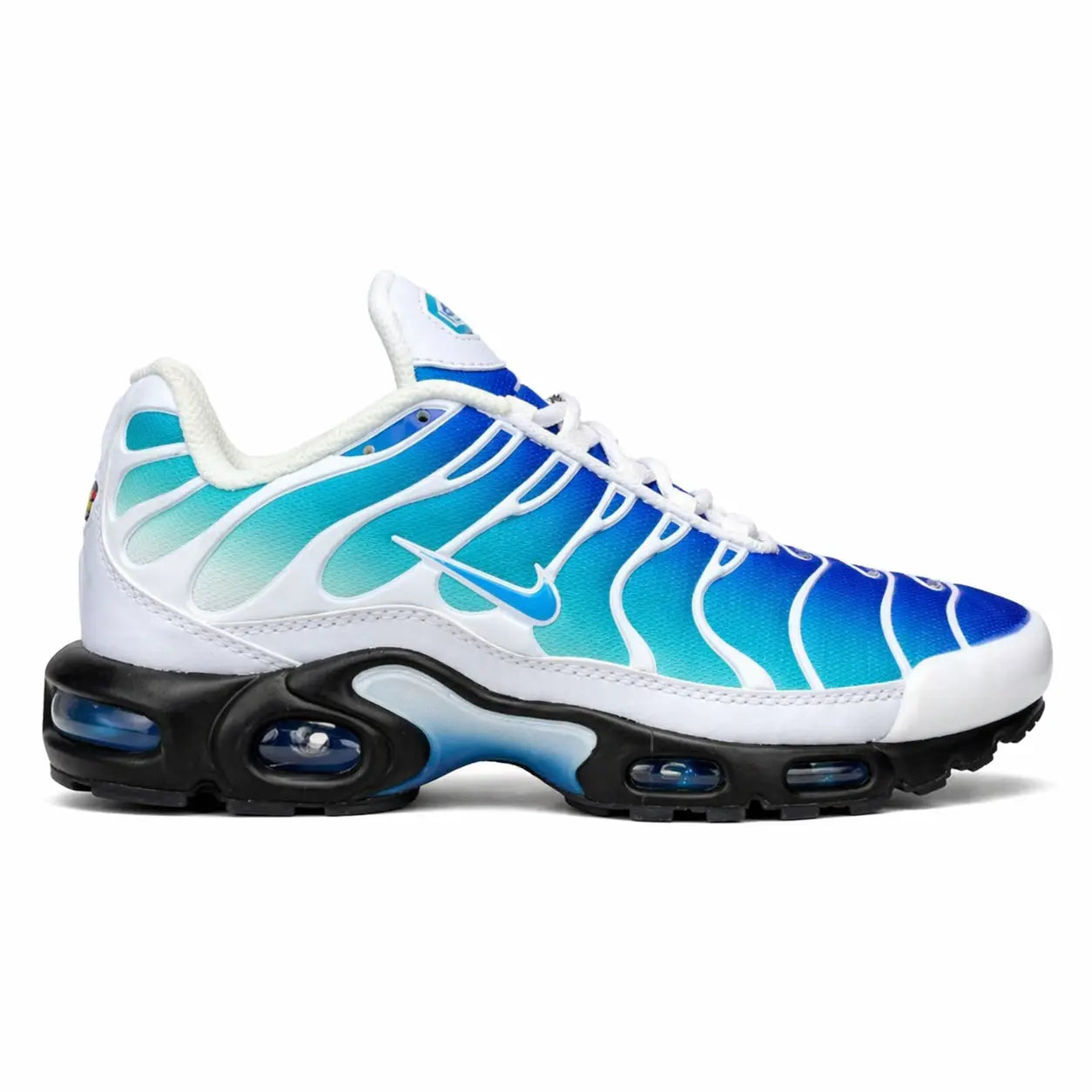 NⅠKE  AⅠR Max Plus Running Shoes – Bleu & Turquoise